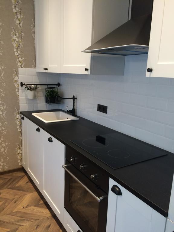 Luxury Apartment Druskininkai Esterno foto